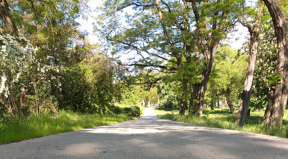 wzg1